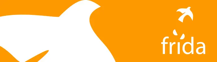 FRIDA Fund Announces New Funding for  ICT Projects in LAC