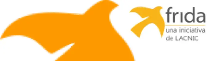 FRIDA Awards – Using Videogames to Improve Reading Comprehension