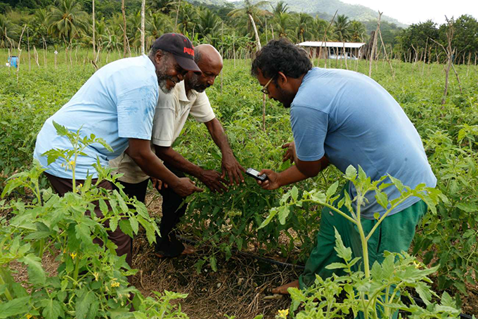FRIDA Awards for Mexico and Trinidad and Tobago