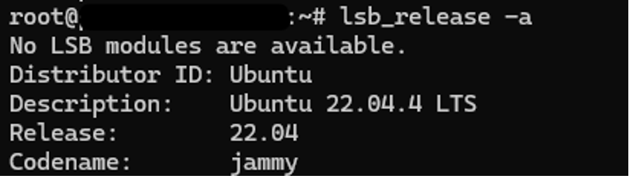 ipv6 ip assignment